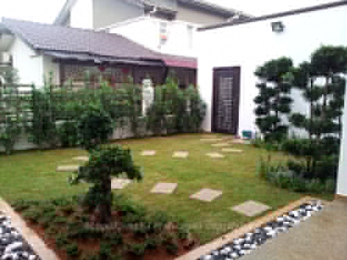 Carpet Grass Garden Design Malaysia Taiwanese Grass Backyard Garden Landscape